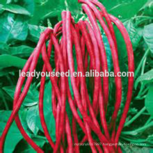 MBE10 Hongxi pure red bean seeds, high yield long bean seeds